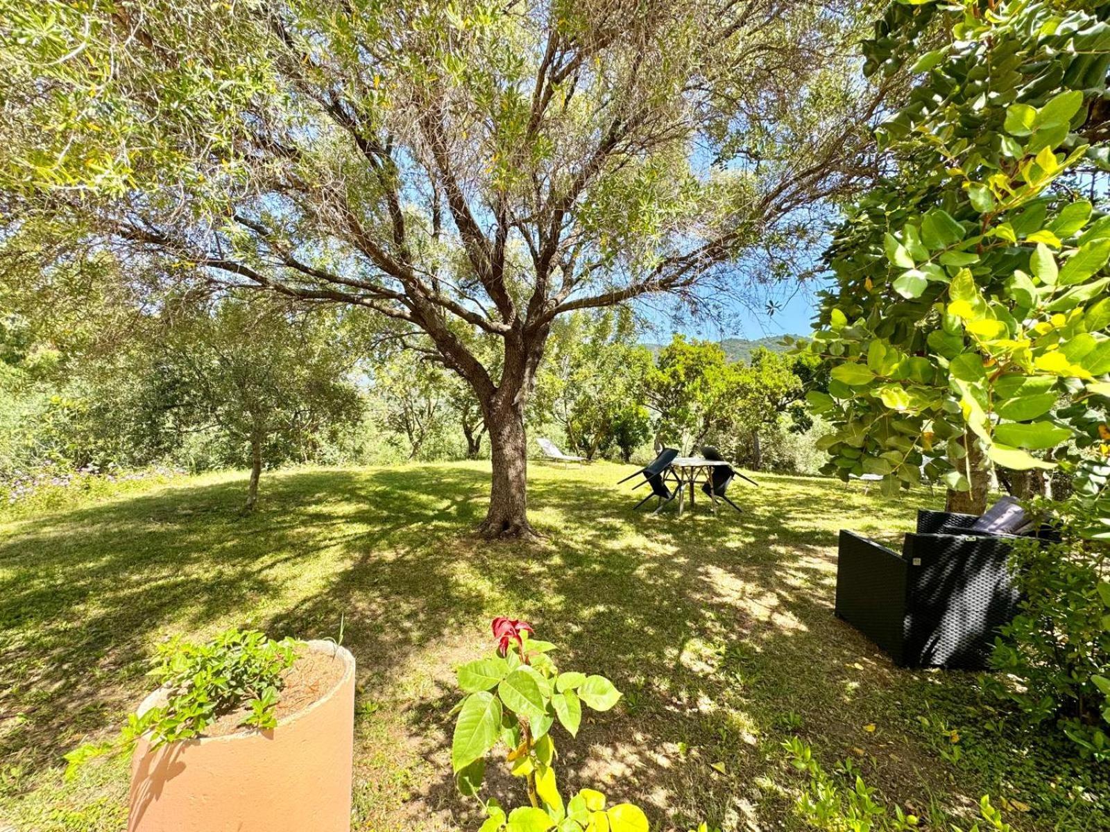 Villa With Pool كارديدو المظهر الخارجي الصورة
